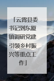 云霄县委书记到东厦镇调研党建引领乡村振兴等重点工作